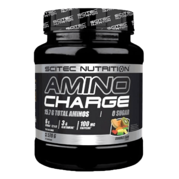 Nutritions.dk Amino Charge (570 g)